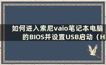 如何进入索尼vaio笔记本电脑的BIOS并设置USB启动（How to boot a Sony vaiolaptop from a USB disk）